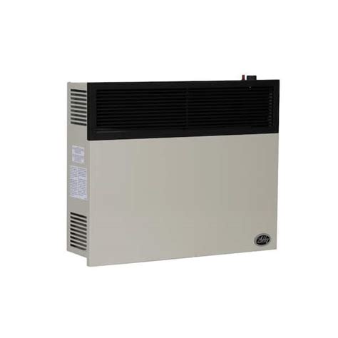 Ashley Btu Direct Vent Natural Gas Heater Dvag N The Home Depot