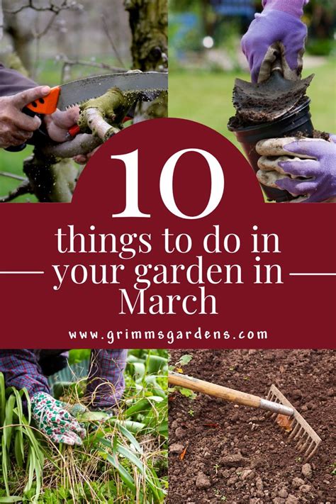 March Tips And Tricks Grimms Gardens Spring Vegetable Garden Spring