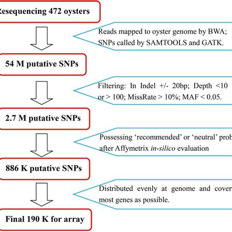 The Counts Of The Snps Types Download Table