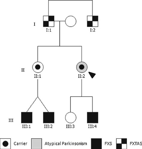 Fragile X Syndrome Pedigree