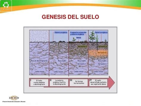 Introduccion A La EdafologÍa Mind Map