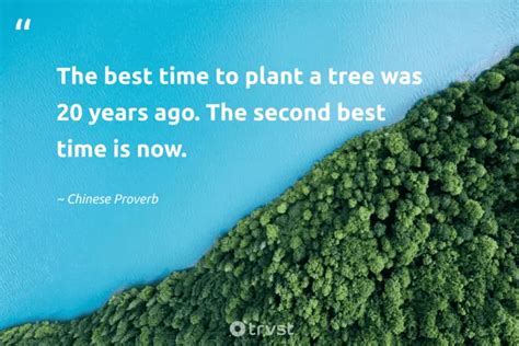 43 Tree Planting Quotes to Inspire You to Grow a Forest