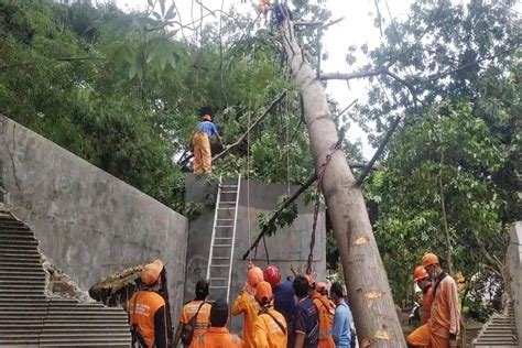 Petugas Damkar Dki Evakuasi Pohon Tumbang Di Sejumlah Titik Di Jakarta