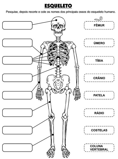 JORNAL PONTO 6 ATIVIDADES CORPO HUMANO 3 4 5 6 ANOS