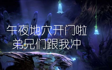 【ori奥日与萤火意志】午夜地穴 任务：深入地洞哔哩哔哩bilibili