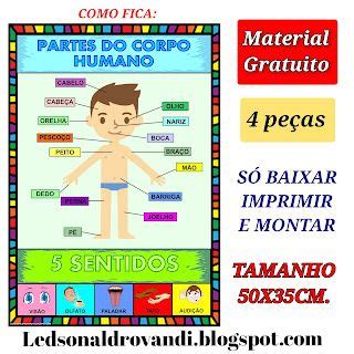 Banner Ou Painel Corpo Humano Material Gratuito Artofit