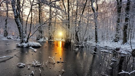 Wallpaper Sunlight Trees Landscape Forest White Water Nature