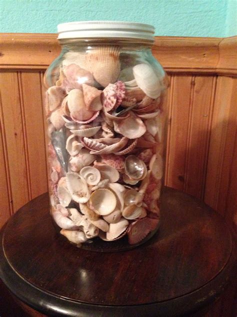 20 Displaying Seashells In A Jar The Urban Decor