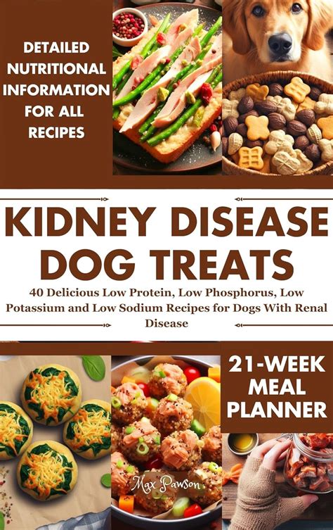 Kidney Disease Dog Treats 40 Delicious Low Protein Low Phosphorus