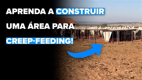 Aprenda A Construir Uma Rea Para Creep Feeding Youtube