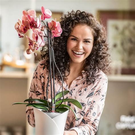 LECHUZA ORCHIDEA - кашпо с автополивом. Купить по цене 3738 рублей