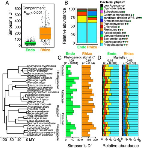 The Diversity And Composition Of Endosphere And Rhizosphere