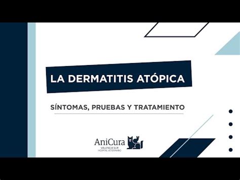 Todo Lo Que Necesitas Saber Sobre La Dermatitis At Pica Piel M A