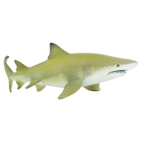 CollectA Shark Ray 88804 | Free Shipping