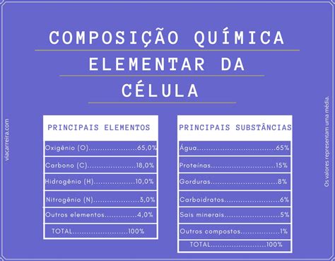 Conhe A Os Assuntos De Biologia Que Mais Caem No Enem