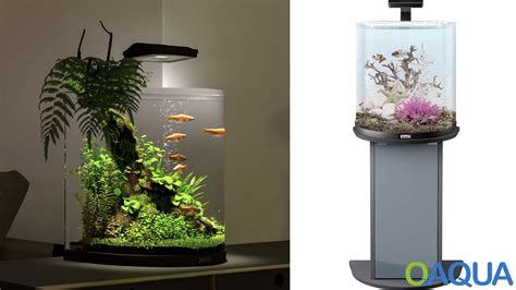 Tetra Aquaart Led Explorer Line Aquarium Set L Und L Komplettes