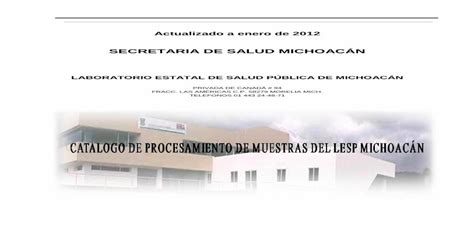 SECRETARIA DE SALUD MICHOACÁN Secretaría de Saludsalud michoacan gob