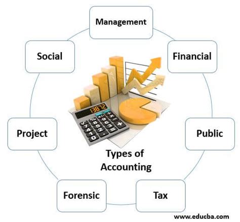 Types Of Accounting 7 Different Types Of Accounting With Explanation