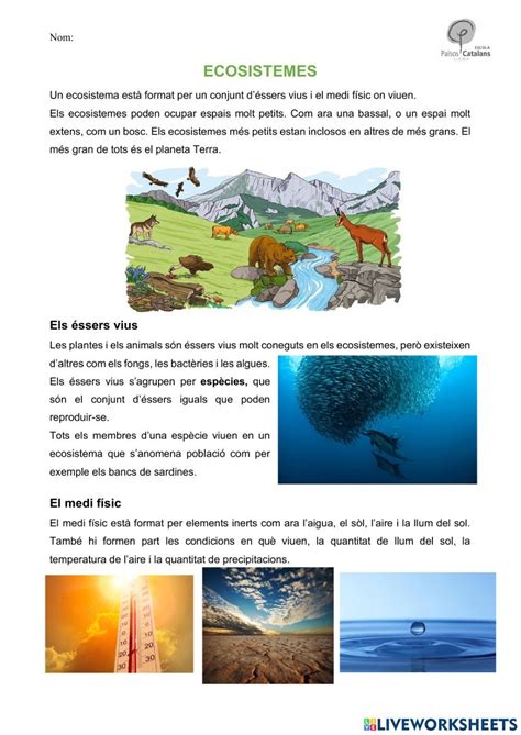 Ecosistemas adaptación curricular Artofit