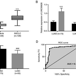 Upregulation Of Linc In Luad And Lusc Tumor Tissue A Relative