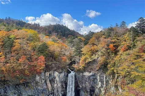 Shibakoen Visite Priv E D Une Journ E Compl Te Nikko Avec Un Guide