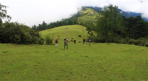 Trekking in Bhutan | Trekking Adventure | Bhutan Swallowtail