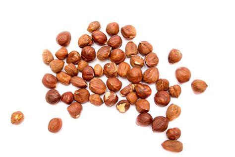 Hazelnuts 101: Nutrition Facts and Health Benefits