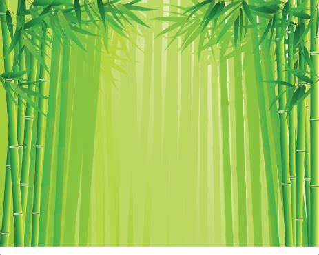 bamboo forest stock illustration  image  backgrounds