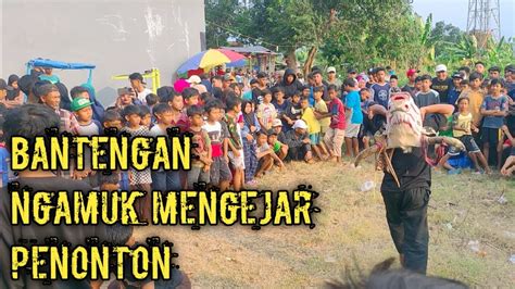 Bantengan Ngamuk Mengejar Penonton Ii Joko Putro Sadewo Live Lapangan