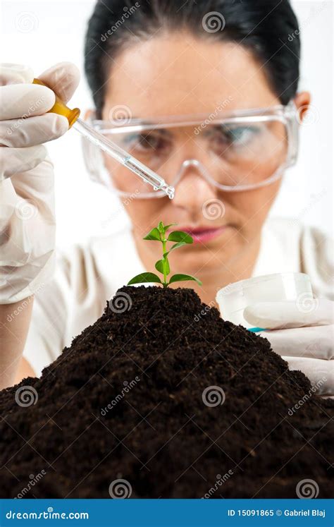 Agricultural Scientist Testing in Laboratory Stock Image - Image of ...