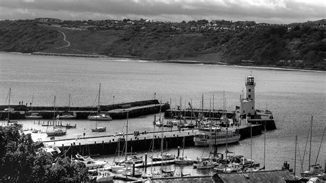 Harbor Black And White Free Stock Photo Public Domain Pictures