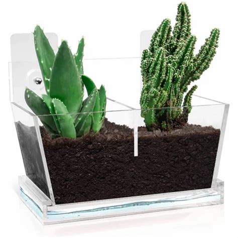 Clear Acrylic Wall Mount Hanging Double Flower Pot With Acrylic Water