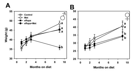 Metformin Reduces Glucose Intolerance Caused By Rapamycin Treatment In