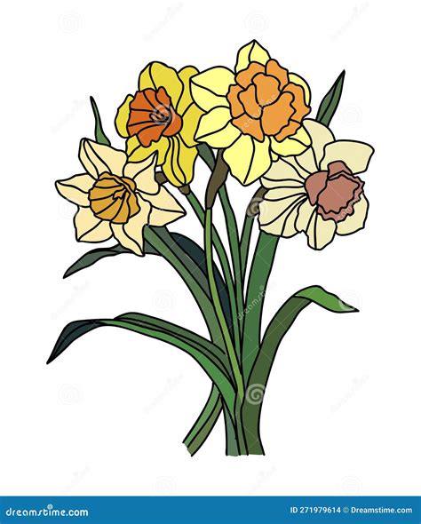 Daffodil March Birth Month Flower Vector Art Stock Vector Illustration Of Postcard Plant