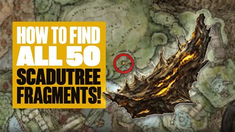 All Scadutree Fragment Locations In Elden Ring Shadow Of The