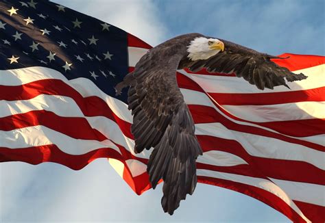 3,000+ Free Patriotic & Flag Images - Pixabay