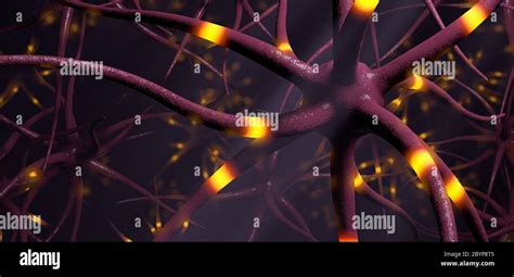 Primer plano sobre la transmisión de células cerebrales o neurona