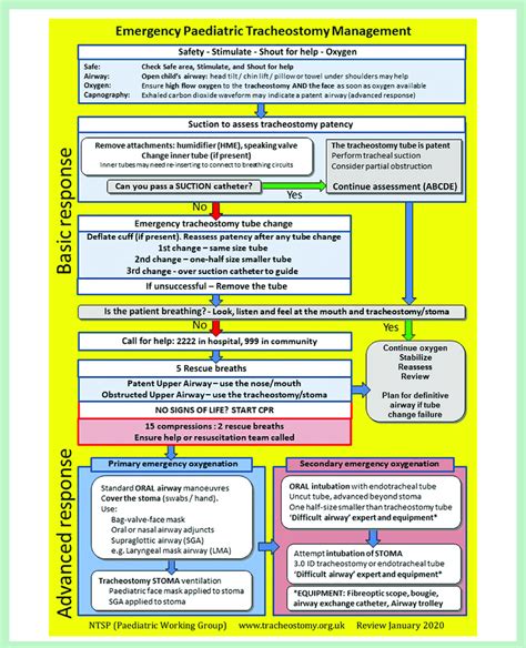 National Tracheostomy Safety Project emergency paediatric tracheostomy ...