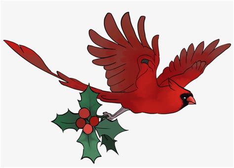 Cardinal Vector Flying Cardinal Flying With A Ribbon X Png