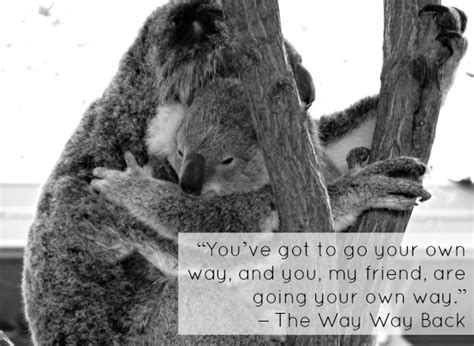 Koala Quotes Inspirational. QuotesGram