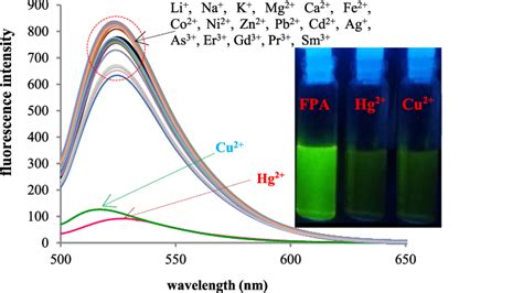 A Absorption Titration Spectra Of Fpa M Upon The Addition