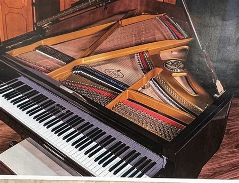 Petrof French Provincial Parlor Model IV Grand Piano W Installed QRS