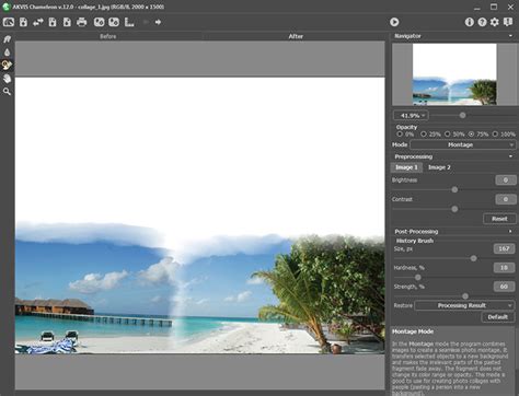 creating  vacation memory collage  multiple   akvis chameleon