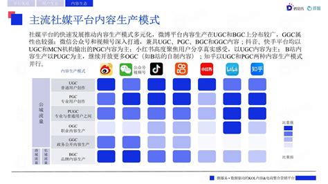 2022主流社交媒体平台趋势洞察报告 发展 中国 用户