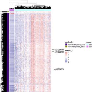 A Go Enrichment Analysis Of Hypermethylation Site Genes B Kegg