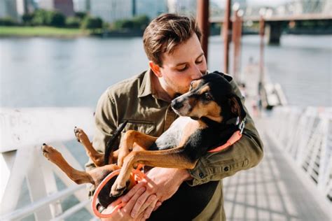 Warum M Nner Und Ihre Hunde Eine Ganz Besondere Verbindung Haben