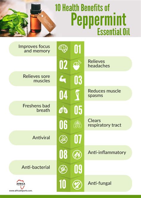 Health Benefits Of Peppermint Essential Oil Africa Imports