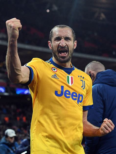 Juventus Star Giorgio Chiellini Taunts Tottenham After Champions League