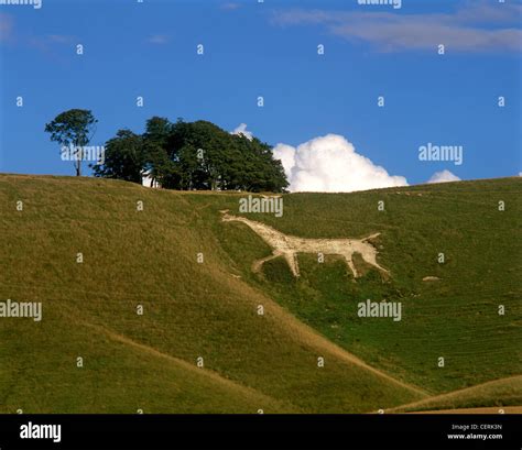 Pewsey Vale white horse Stock Photo - Alamy