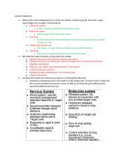 Endocrine System Docx Lecture Objectives Define Each Of The